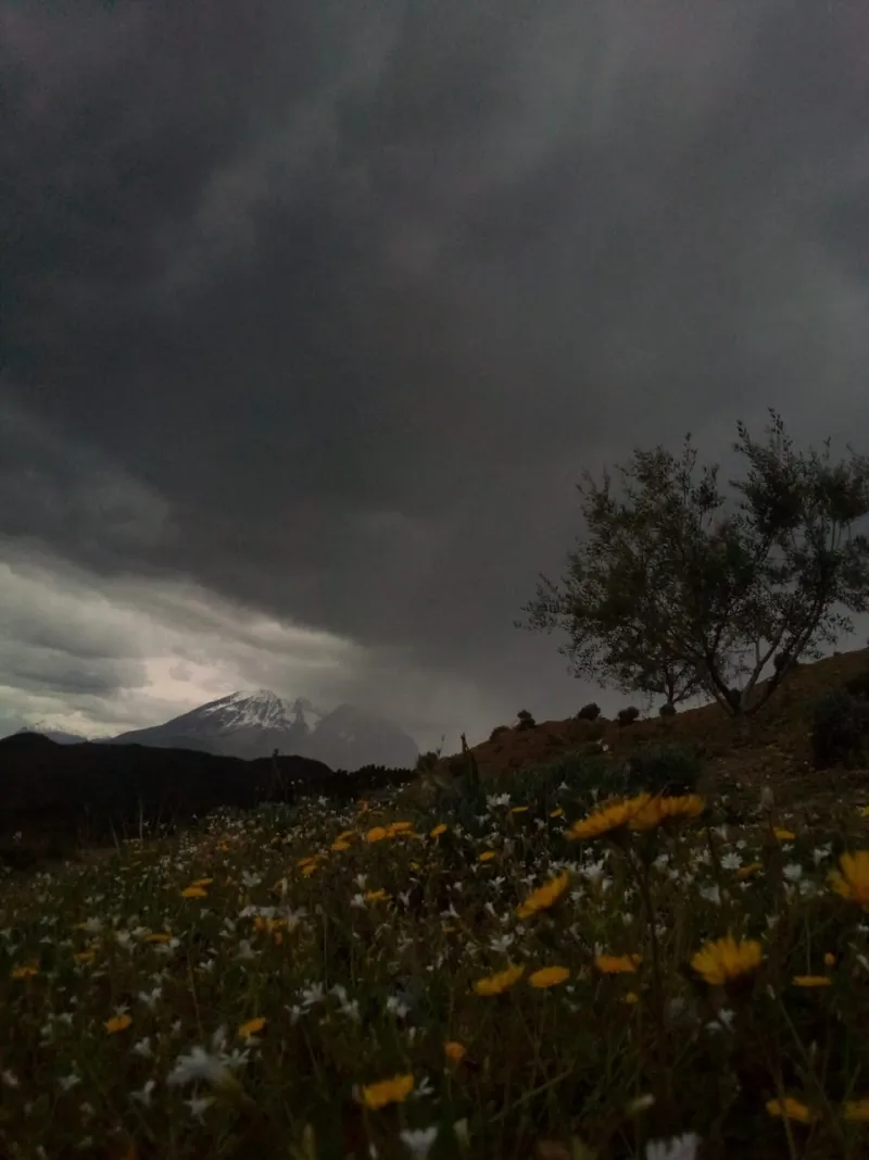 Goats, Gigabit Wi-Fi, and a Generation Refusing to Leave: Albania's Mountain Villages Are Rewriting the Rural Playbook